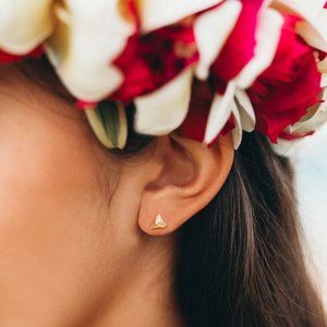 Small Shark's Tooth Studs